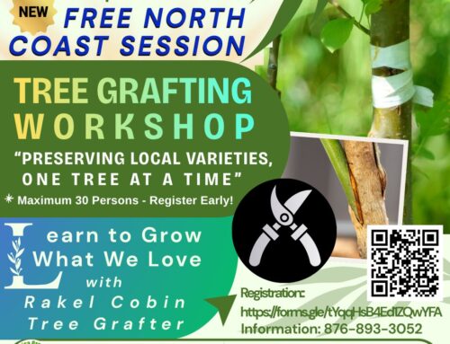 Tree Grafting Workshop Trelawny